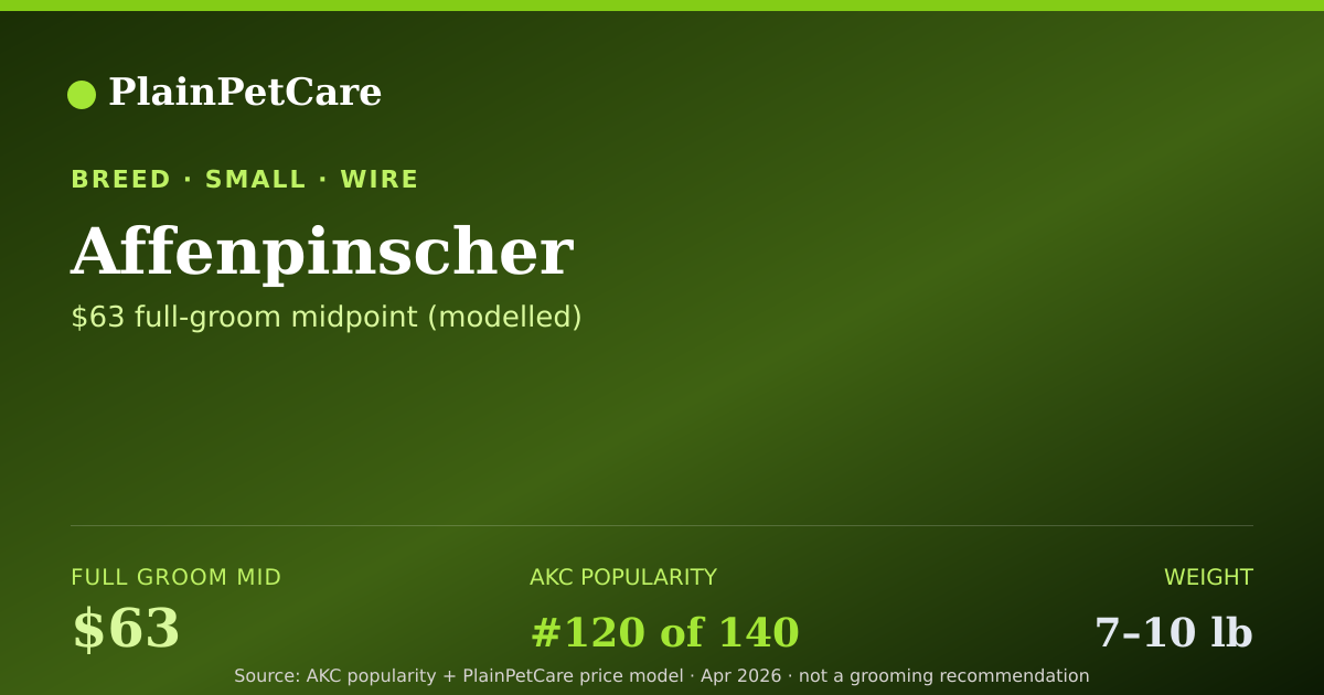 Shareable card for Affenpinscher Grooming Prices, How Much Does It Cost?