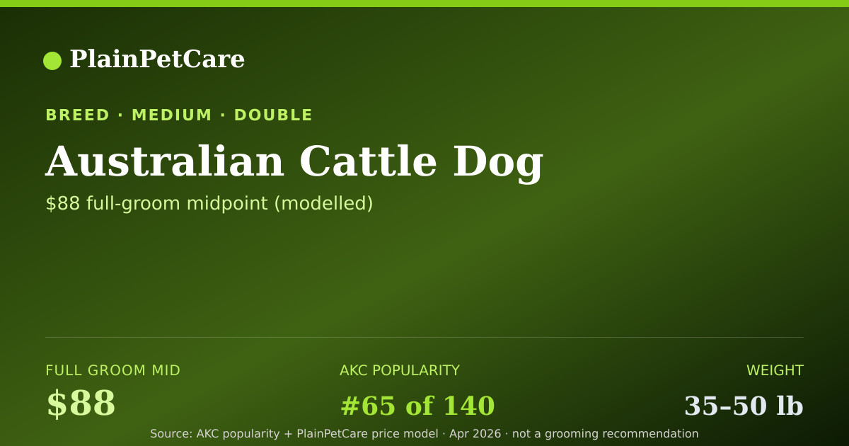 Shareable card for Australian Cattle Dog grooming prices | PlainPetCare