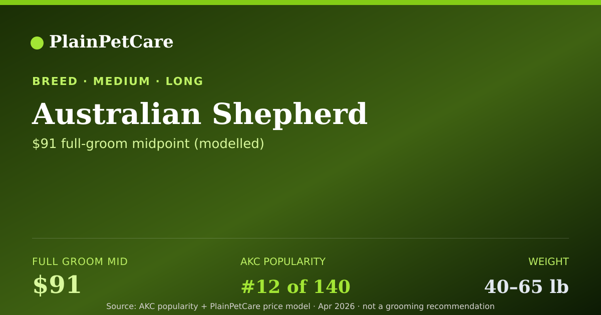 Shareable card for Australian Shepherd Grooming Prices, How Much Does It Cost?