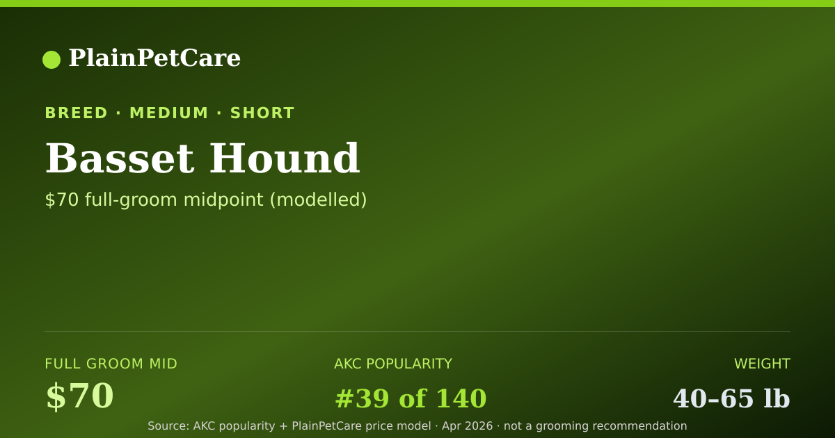 Shareable card for Basset Hound Grooming Prices, How Much Does It Cost?