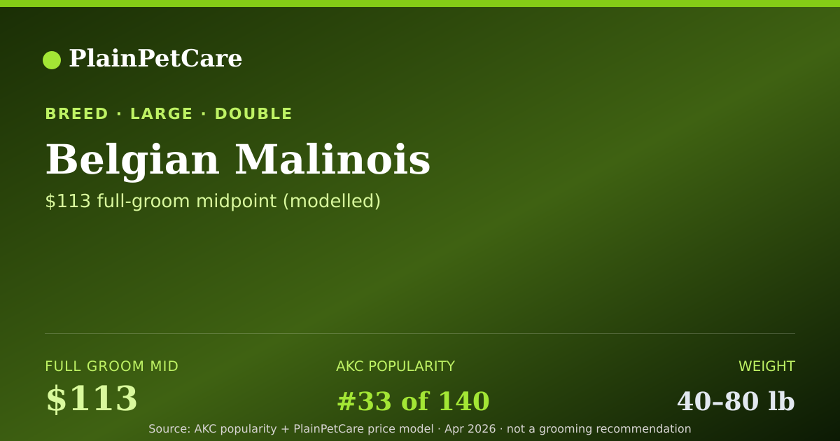 Shareable card for Belgian Malinois Grooming Prices, How Much Does It Cost?