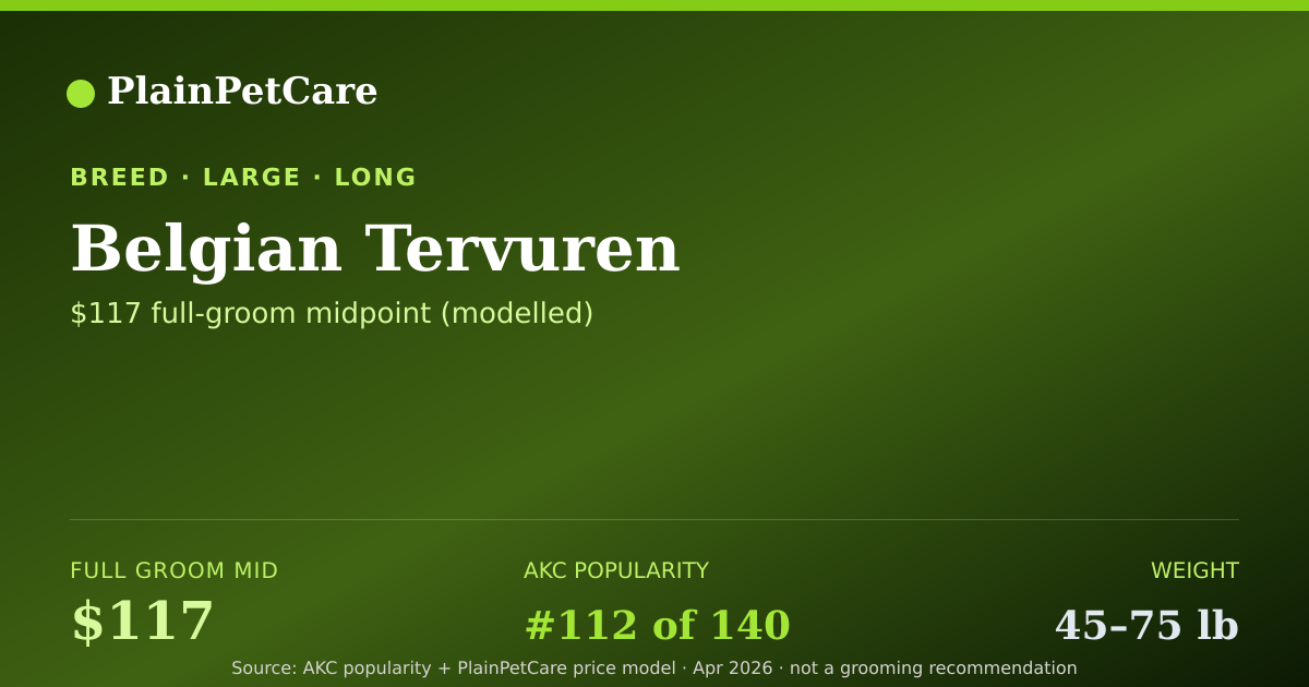 Shareable card for Belgian Tervuren Grooming Prices, How Much Does It Cost?