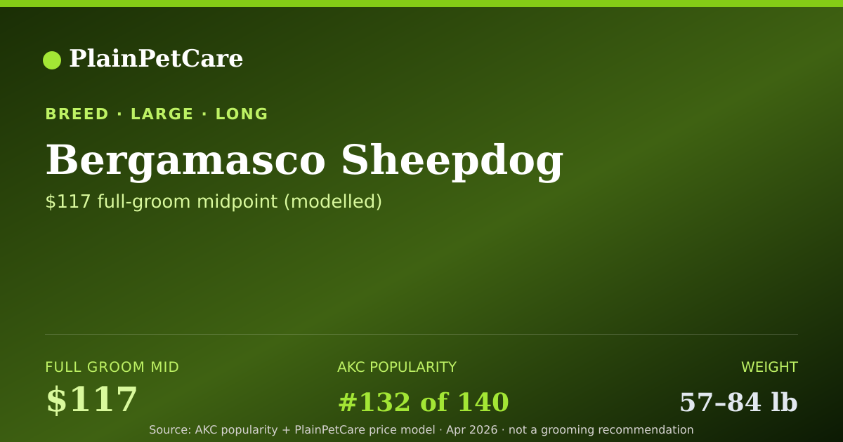 Shareable card for Bergamasco Sheepdog Grooming Prices, How Much Does It Cost?