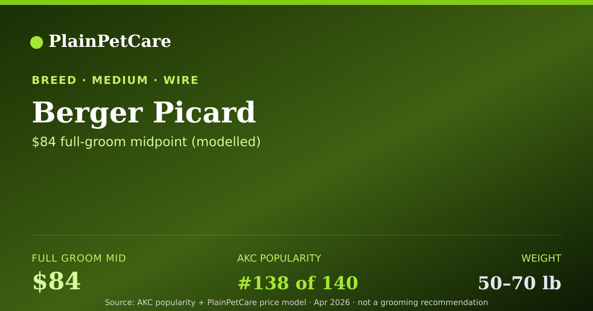 Shareable card for Berger Picard Grooming Prices, How Much Does It Cost?