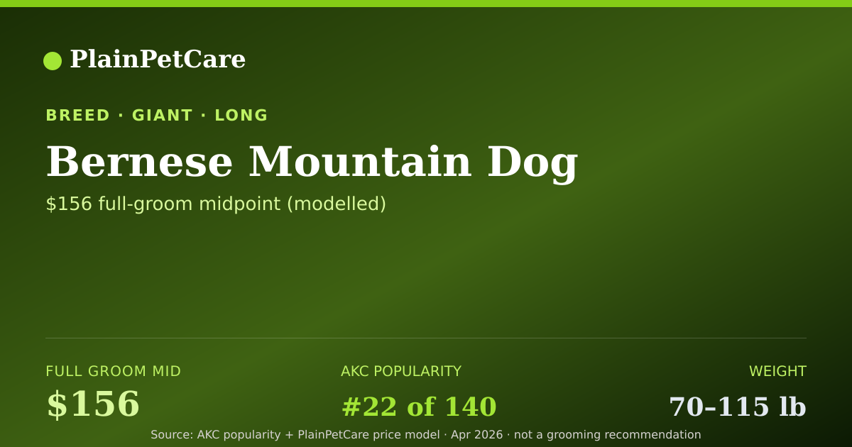 Shareable card for Bernese Mountain Dog Grooming Prices, How Much Does It Cost?