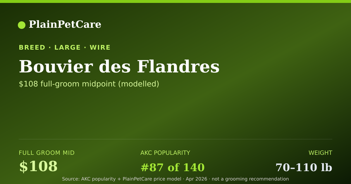Shareable card for Bouvier des Flandres Grooming Prices, How Much Does It Cost?