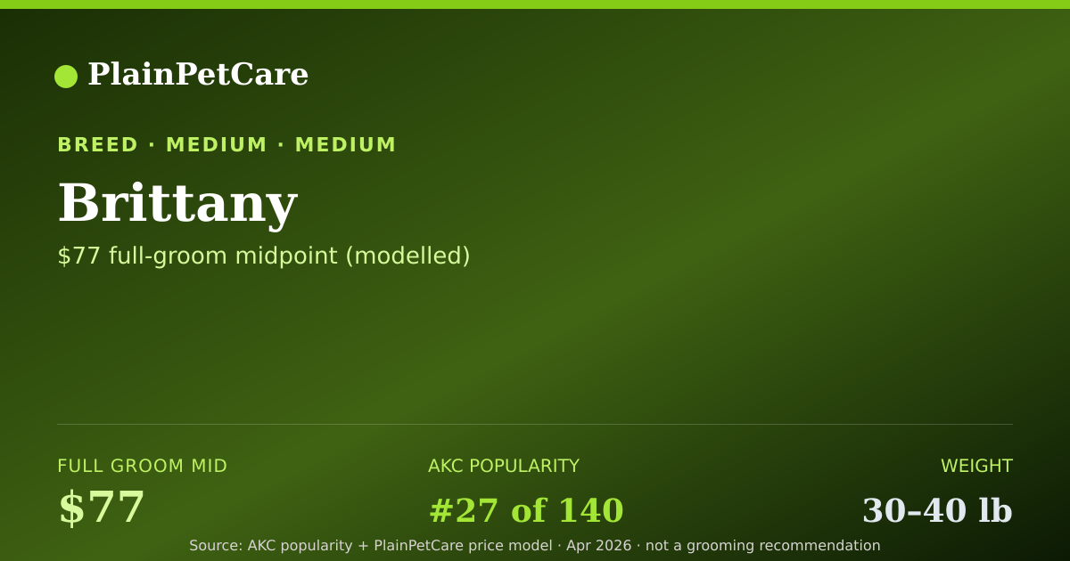 Shareable card for Brittany Grooming Prices, How Much Does It Cost?