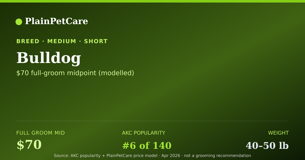 Shareable card for Bulldog Grooming Prices, How Much Does It Cost?