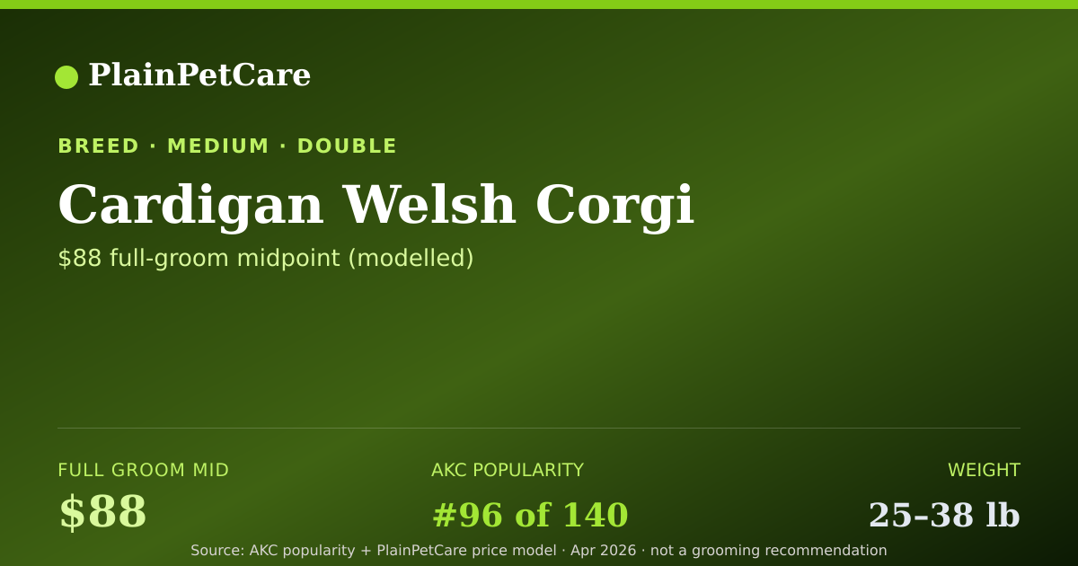 Shareable card for Cardigan Welsh Corgi Grooming Prices, How Much Does It Cost?