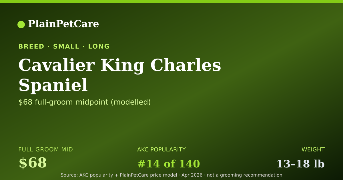 Shareable card for Cavalier King Charles Spani… grooming prices | PlainPetCare