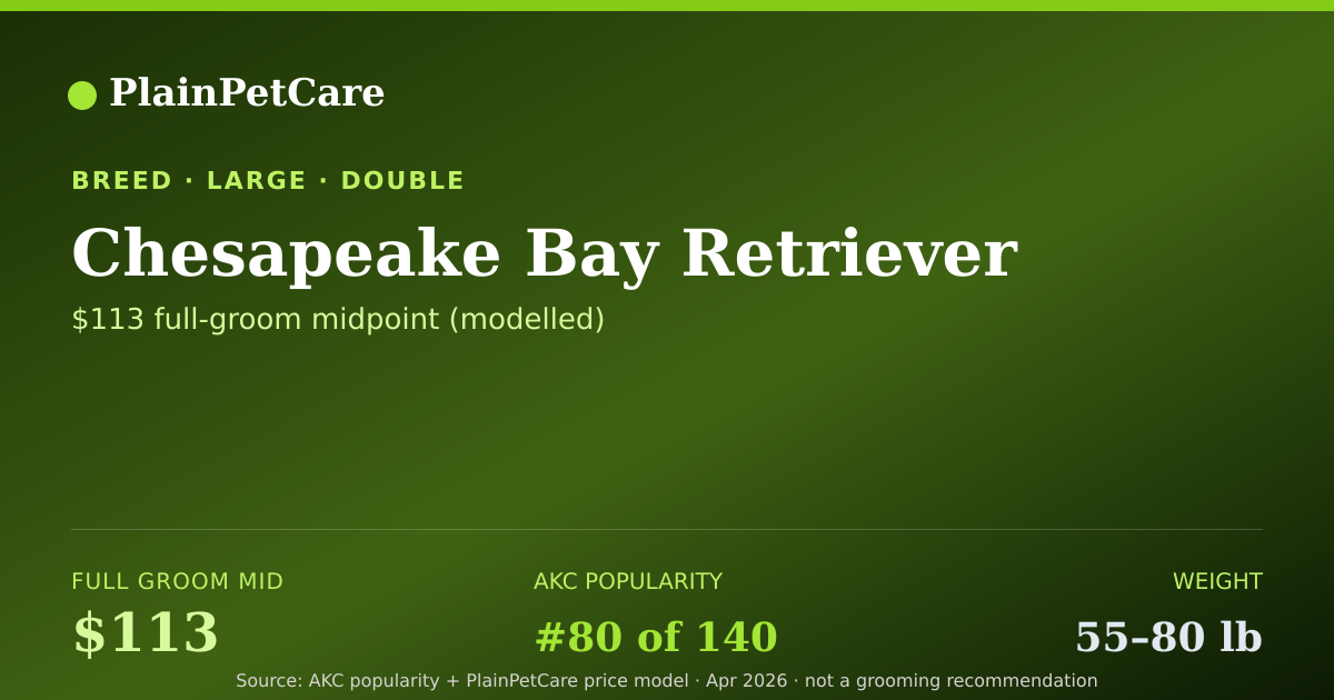 Shareable card for Chesapeake Bay Retriever grooming prices | PlainPetCare