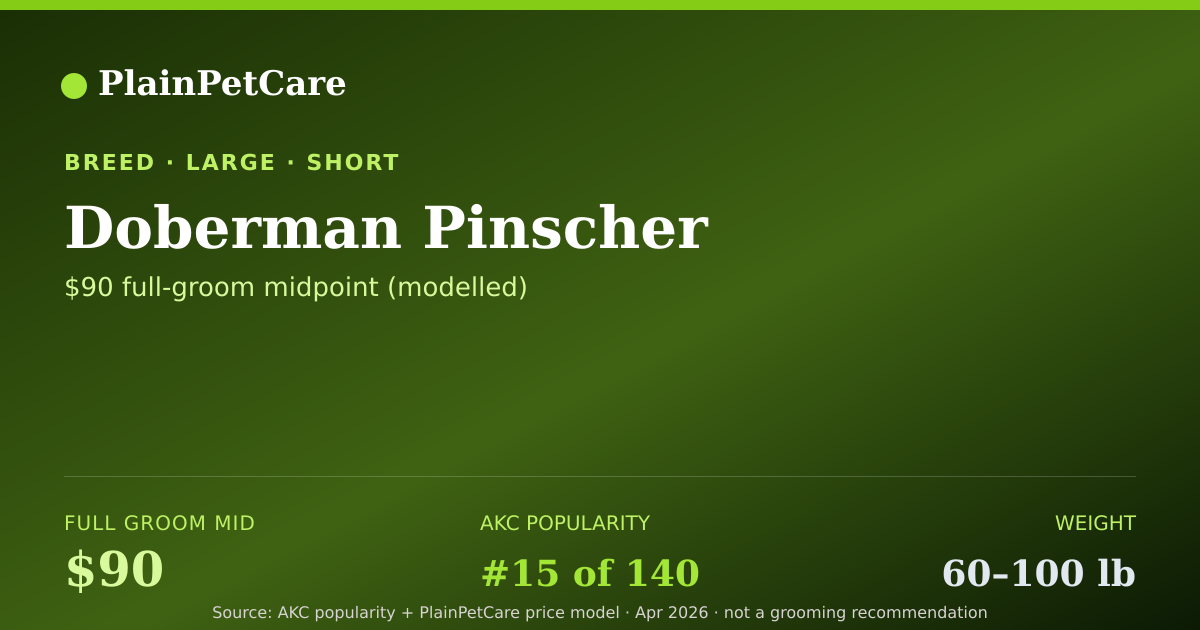 Shareable card for Doberman Pinscher Grooming Prices, How Much Does It Cost?