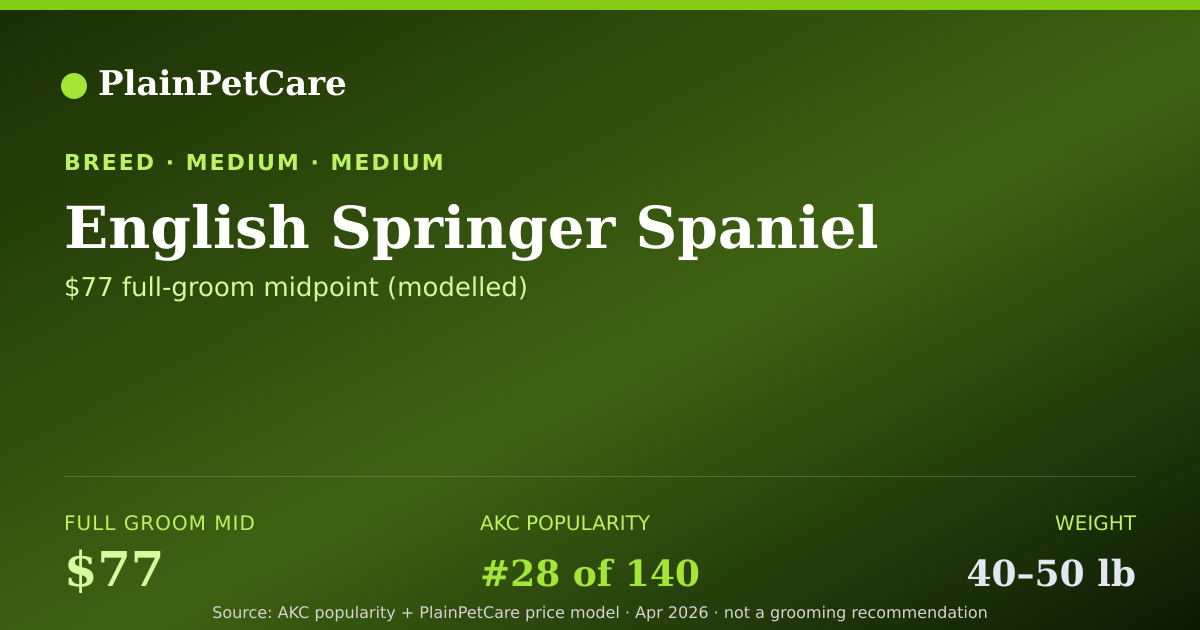 Shareable card for English Springer Spaniel grooming prices | PlainPetCare