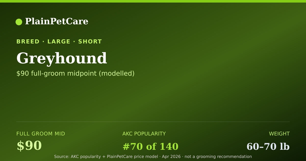 Shareable card for Greyhound Grooming Prices, How Much Does It Cost?