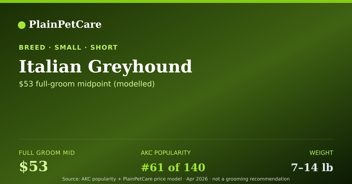 Shareable card for Italian Greyhound Grooming Prices, How Much Does It Cost?