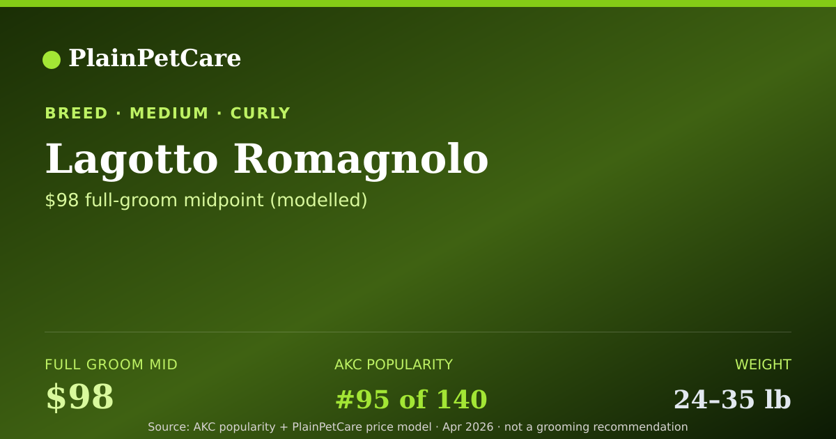 Shareable card for Lagotto Romagnolo Grooming Prices, How Much Does It Cost?