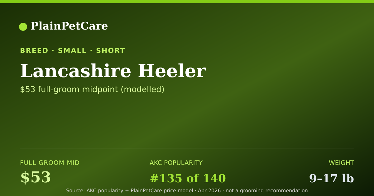 Shareable card for Lancashire Heeler Grooming Prices, How Much Does It Cost?
