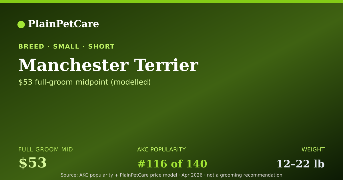 Shareable card for Manchester Terrier Grooming Prices, How Much Does It Cost?