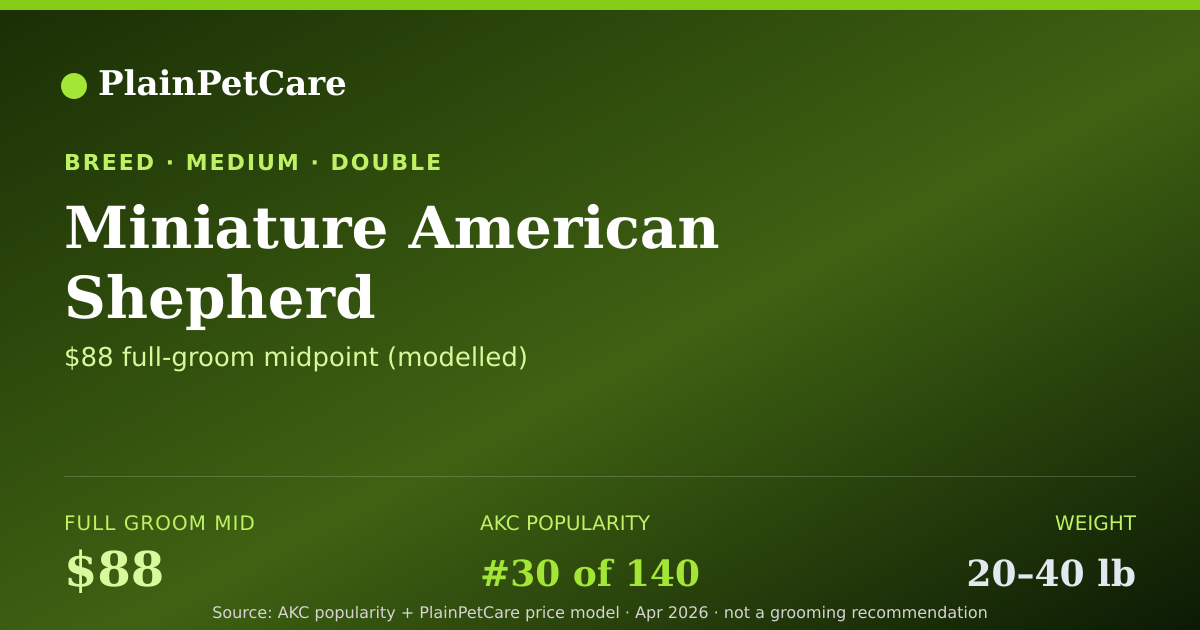 Shareable card for Miniature American Shepherd grooming prices | PlainPetCare