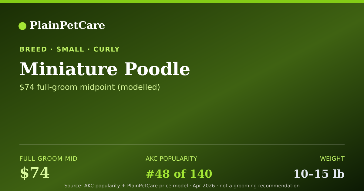 Shareable card for Miniature Poodle Grooming Prices, How Much Does It Cost?