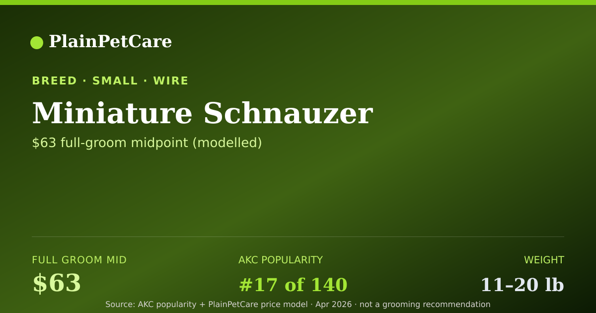 Shareable card for Miniature Schnauzer Grooming Prices, How Much Does It Cost?