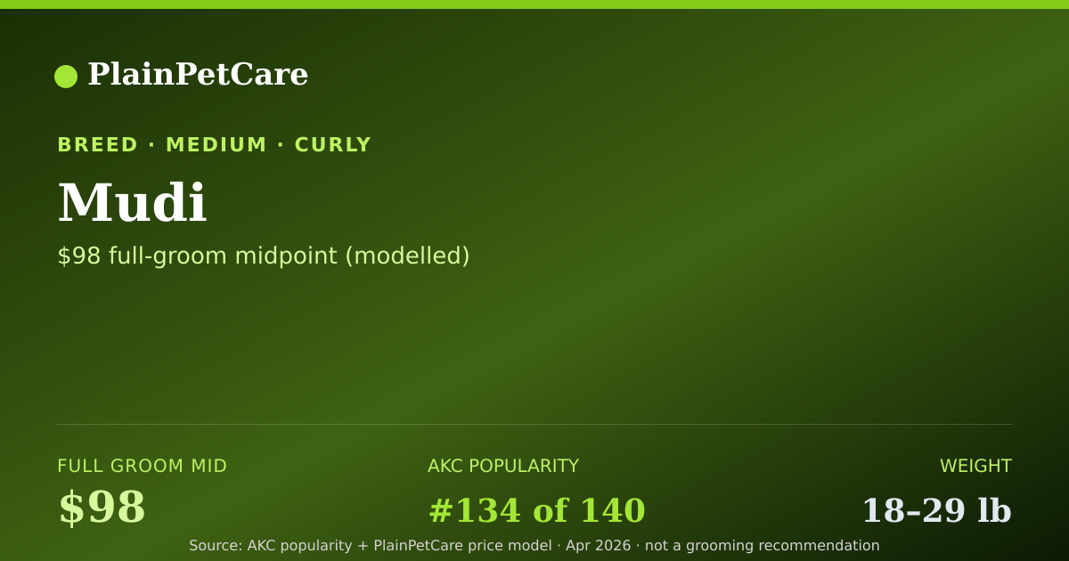 Shareable card for Mudi Grooming Prices, How Much Does It Cost?