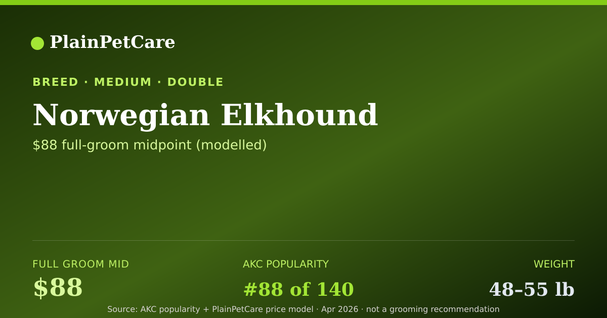 Shareable card for Norwegian Elkhound Grooming Prices, How Much Does It Cost?