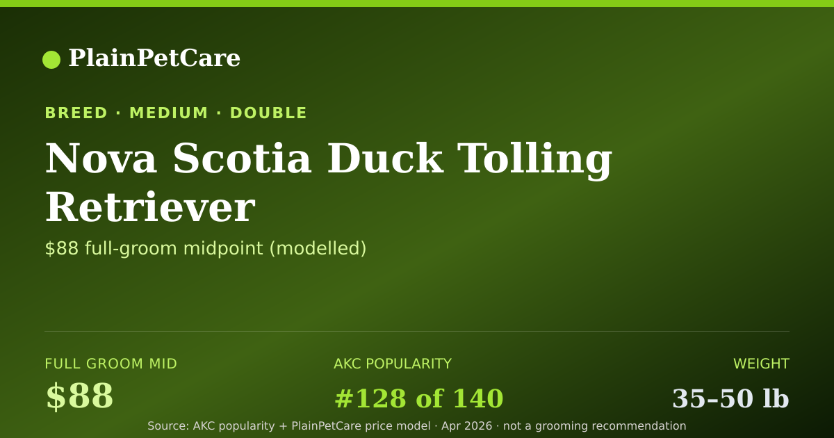 Shareable card for Nova Scotia Duck Tolling Re… grooming prices | PlainPetCare