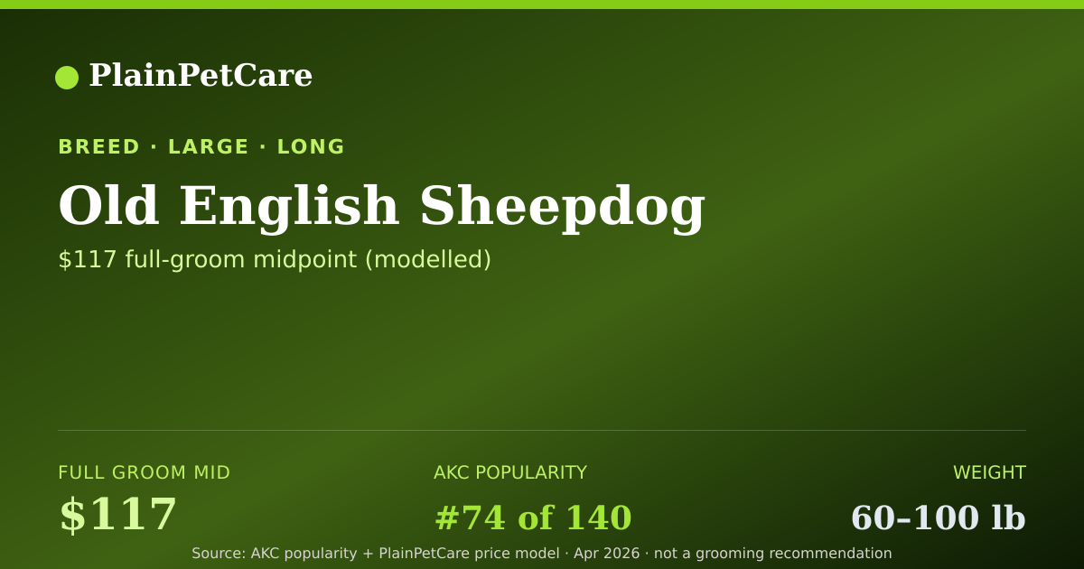 Shareable card for Old English Sheepdog Grooming Prices, How Much Does It Cost?