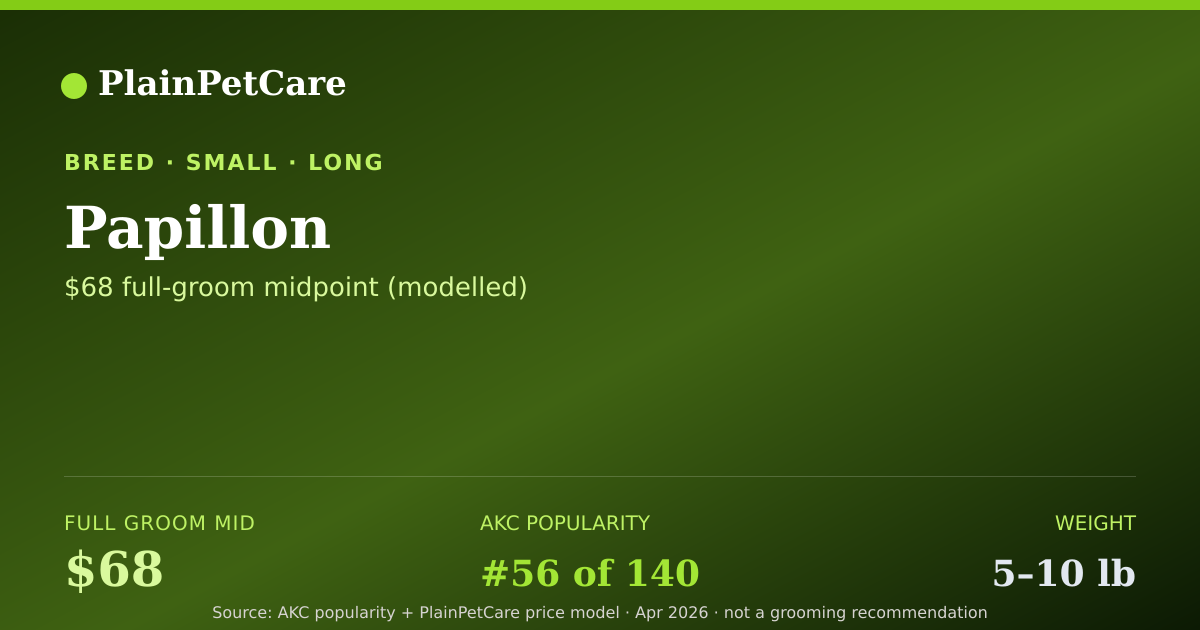 Shareable card for Papillon Grooming Prices, How Much Does It Cost?
