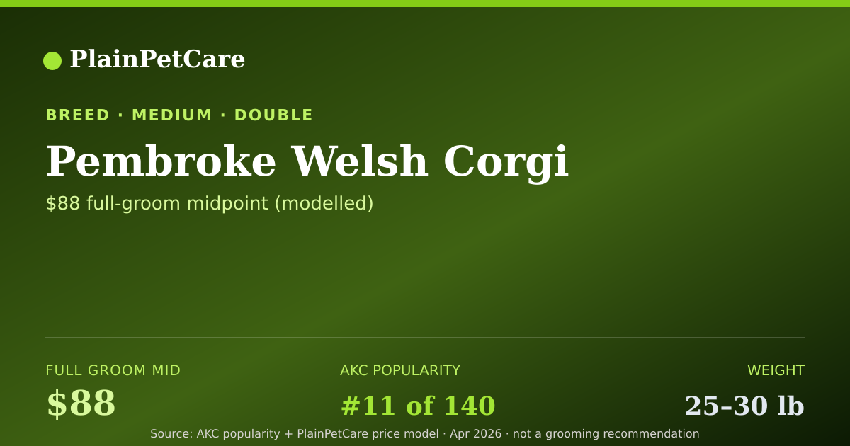 Shareable card for Pembroke Welsh Corgi Grooming Prices, How Much Does It Cost?