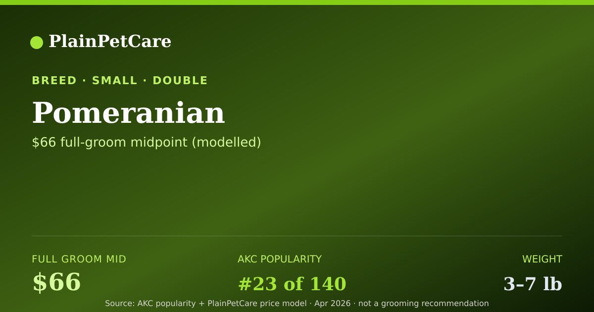 Shareable card for Pomeranian Grooming Prices, How Much Does It Cost?