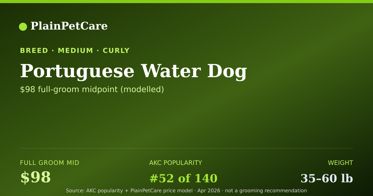 Shareable card for Portuguese Water Dog Grooming Prices, How Much Does It Cost?