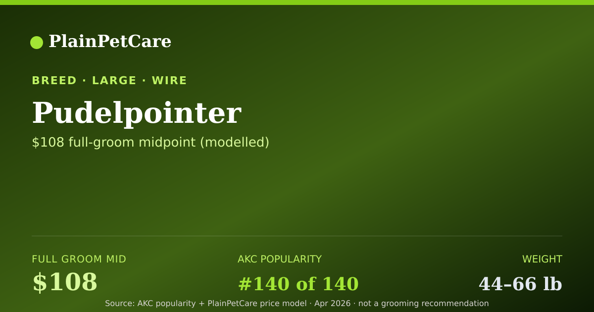 Shareable card for Pudelpointer Grooming Prices, How Much Does It Cost?