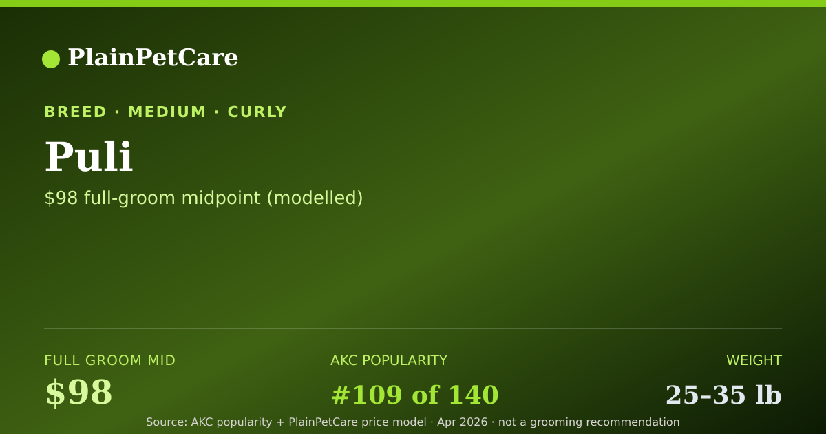 Shareable card for Puli Grooming Prices, How Much Does It Cost?