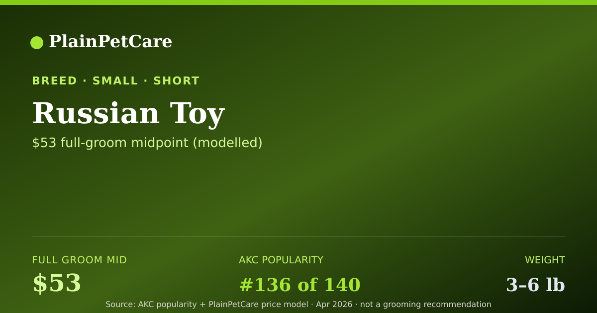 Shareable card for Russian Toy Grooming Prices, How Much Does It Cost?