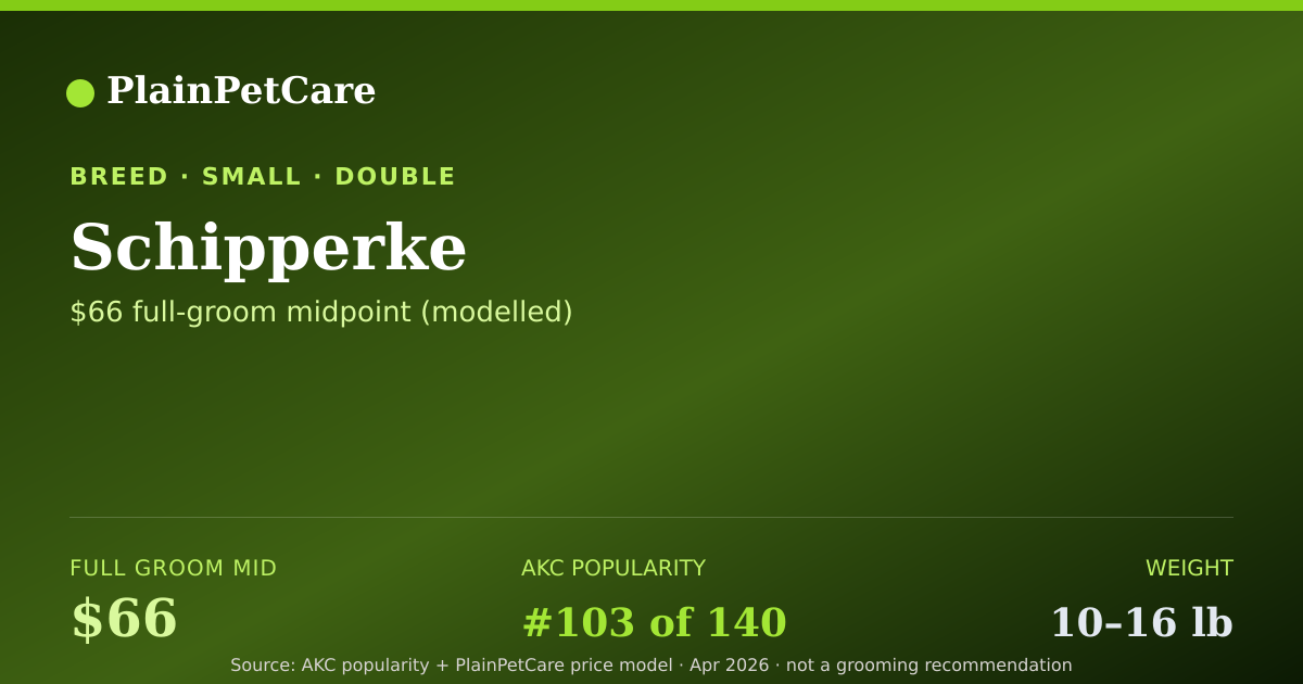 Shareable card for Schipperke Grooming Prices, How Much Does It Cost?