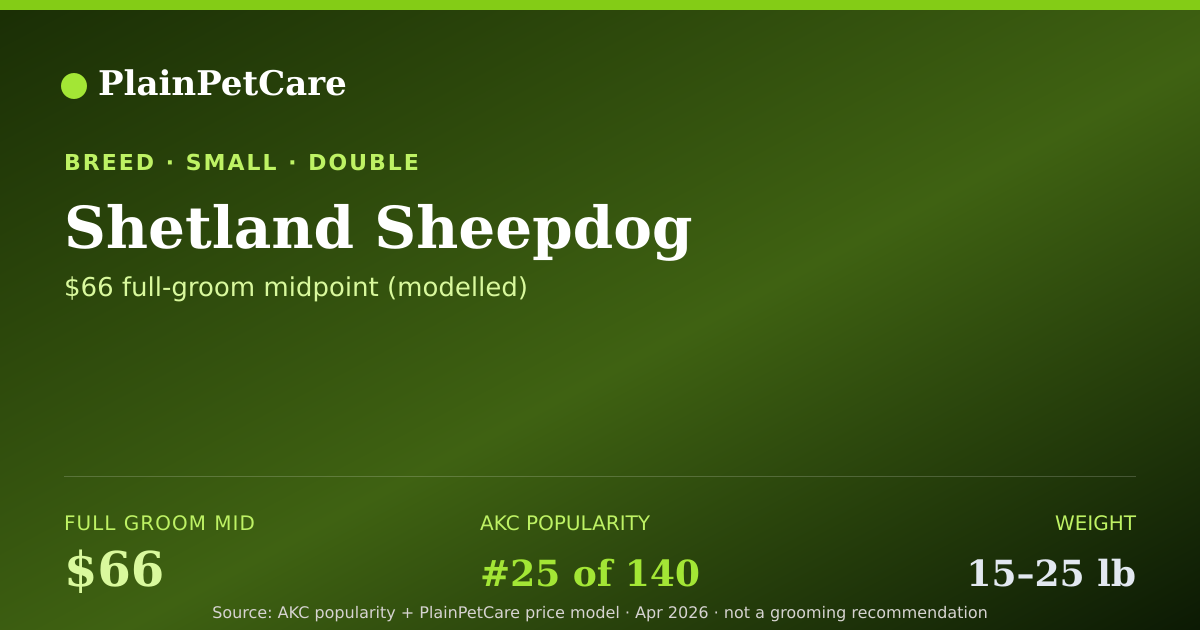 Shareable card for Shetland Sheepdog Grooming Prices, How Much Does It Cost?