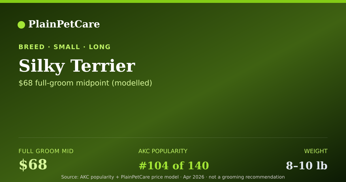 Shareable card for Silky Terrier Grooming Prices, How Much Does It Cost?