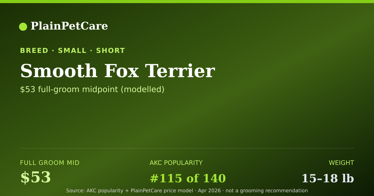 Shareable card for Smooth Fox Terrier Grooming Prices, How Much Does It Cost?
