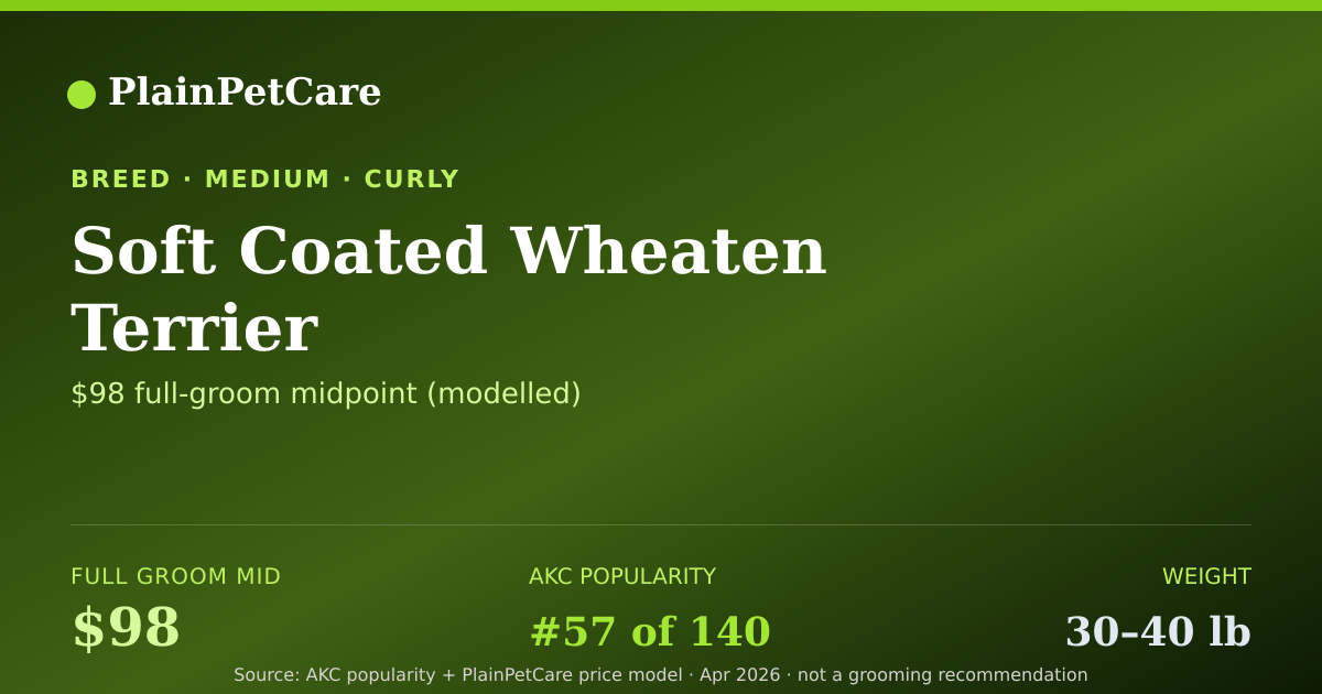 Shareable card for Soft Coated Wheaten Terrier grooming prices | PlainPetCare