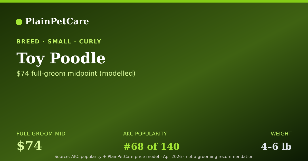 Shareable card for Toy Poodle Grooming Prices, How Much Does It Cost?