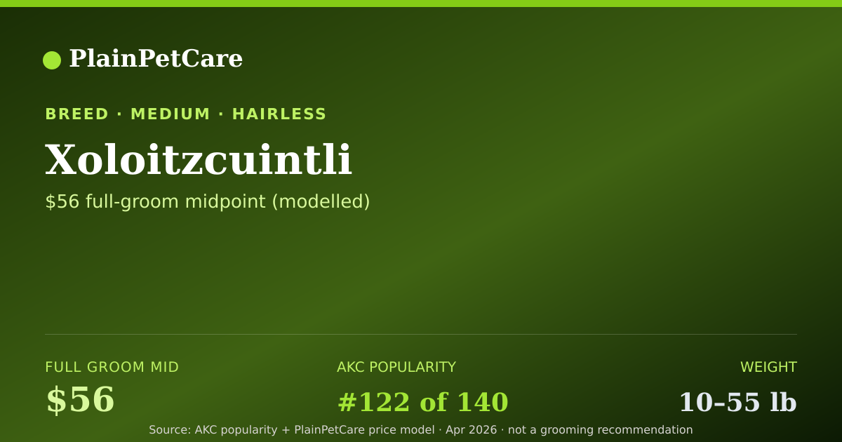 Shareable card for Xoloitzcuintli Grooming Prices, How Much Does It Cost?